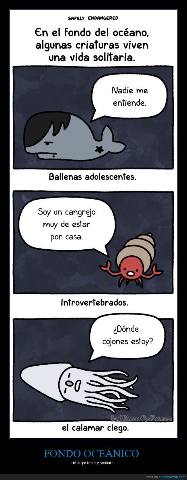 fondo oceánico,mar,animales,ballena,cangrejo,calamar